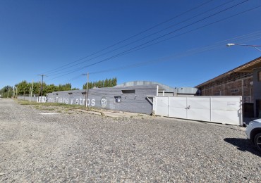 ALQUILER | PREDIO OPERATIVO SOBRE RUTA 7 | CENTENARIO